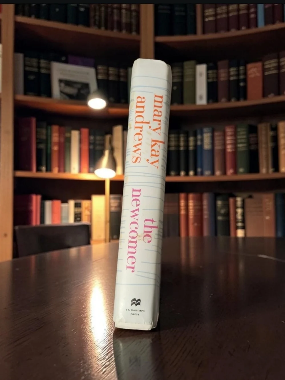 The Newcomer: A Novel NY Times Best Selling Author